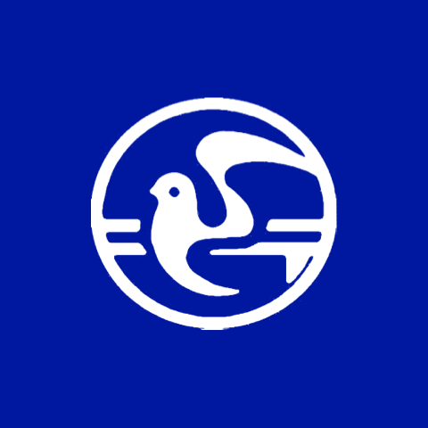 평화홀딩스 로고