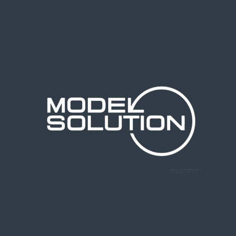 모델솔루션 로고